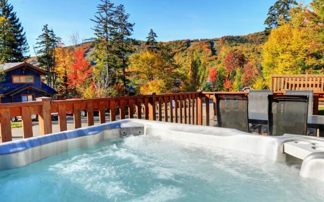 Chalets Alpins - 12 Chemin Alpin