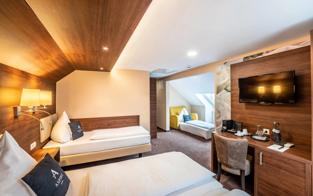 Aspire Castillo Reutlingen, Trademark Collection by Wyndham