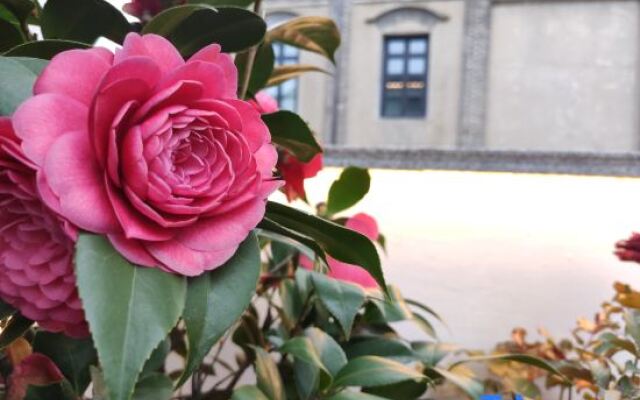 Youqi Boutique Hostel