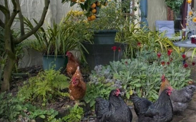99 Tihi Rd Bed & Breakfast