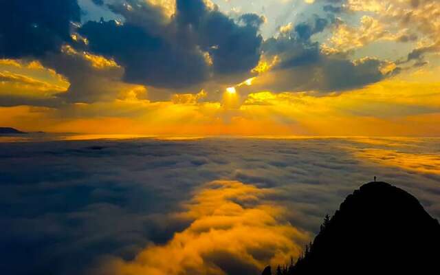 Konak Rize
