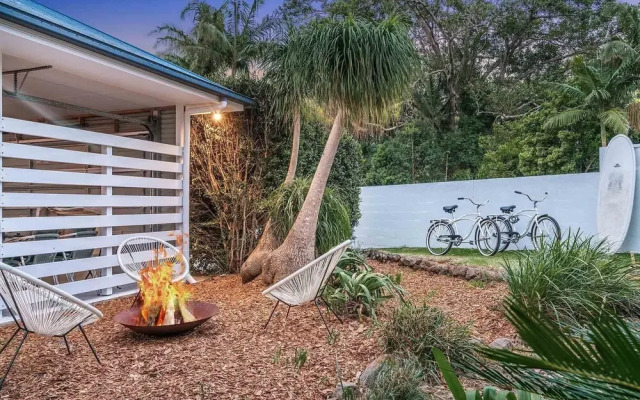 Bangalow Palms