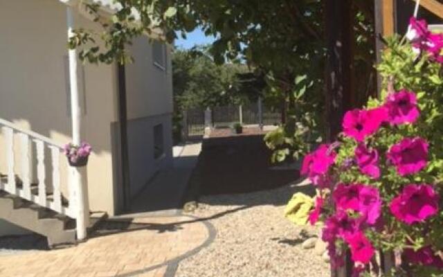 Willa Aleksandra - Apartamenty