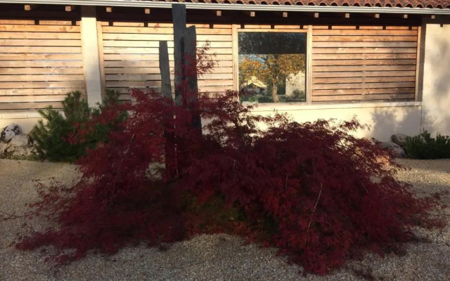 Le Couvent de Neuviale