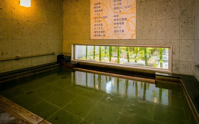 Super Hotel Natural Hot Springs Fuji