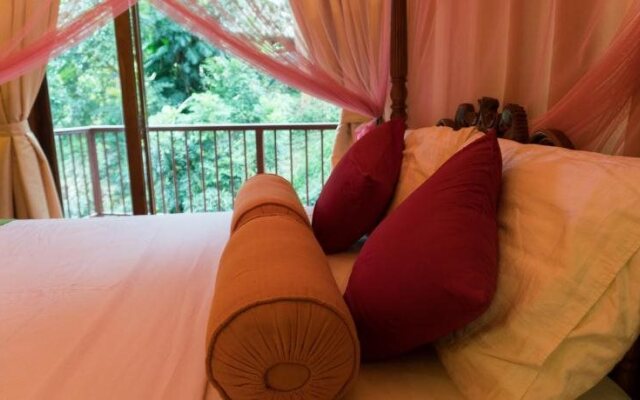 Aronka Homestay
