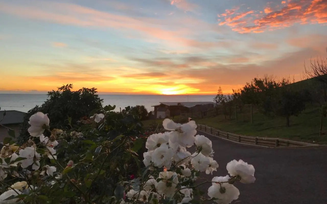 Penguin Seaside Homestay