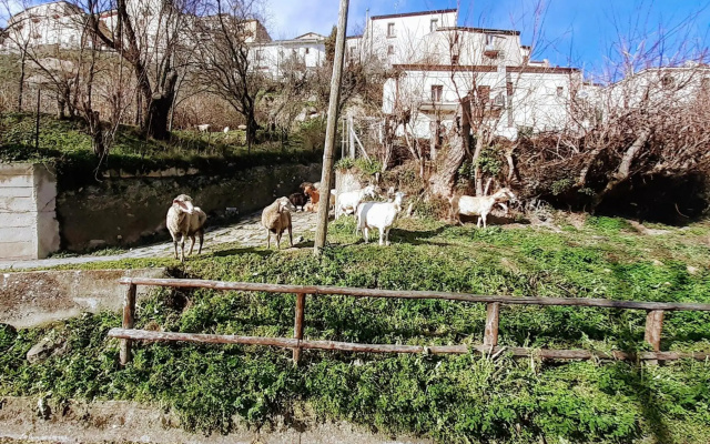 Casa LE ORIGINI