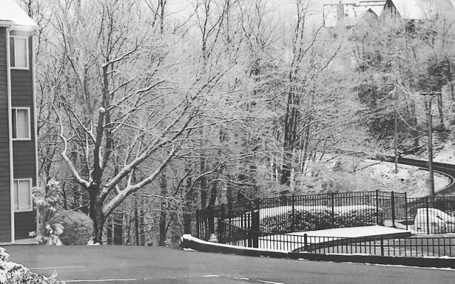 Smoky Top Summit 2 Bedroom Condo by RedAwning