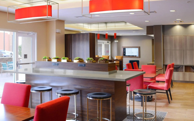 Towneplace Suites by Marriott Houston Galleria Area