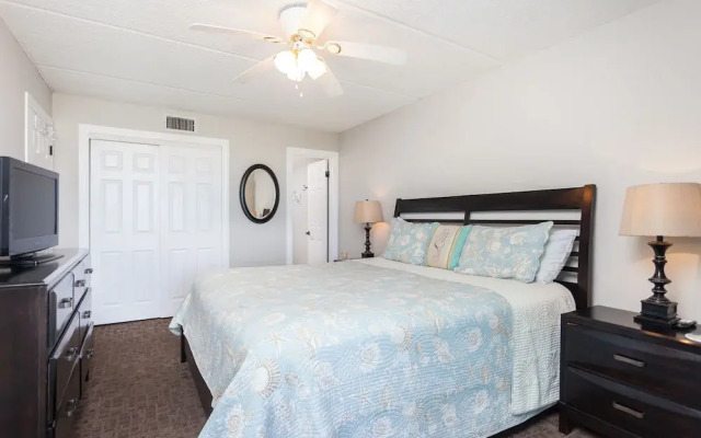 Island South by Vtrips