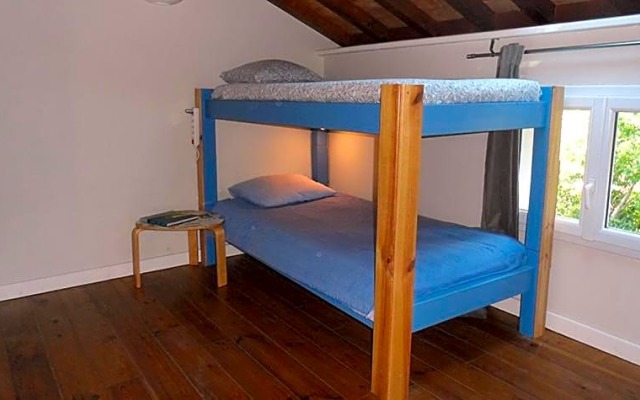 Shifting Sands Surf Camp