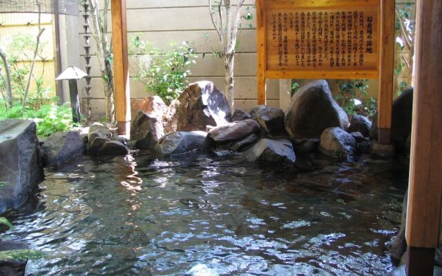 Yamaga Onsen Seiryuso