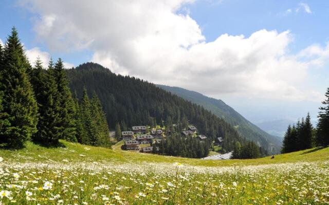 Apartment MOUNTAIN PARADISE Golte