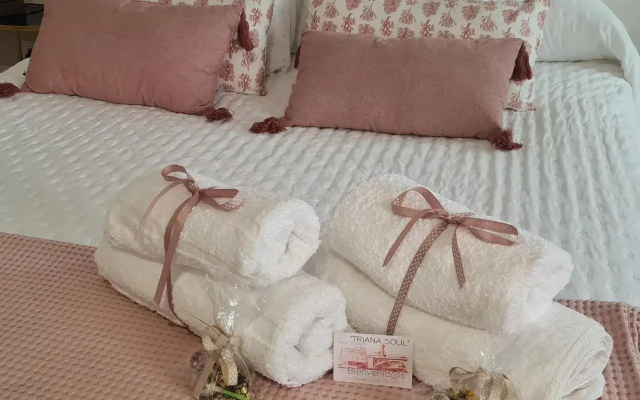 TRIANA SOUL MARCUR precioso piso 1 PARKING GRATIS