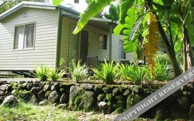 Mt Warning Rainforest Park