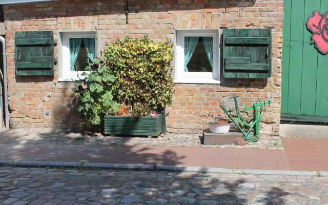 Apartment With Garden in Damgarten