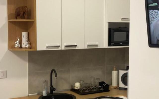 Pupin Palata Business apartman B15