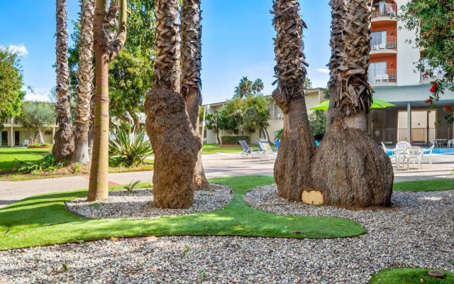 Best Western Golden Sails Hotel