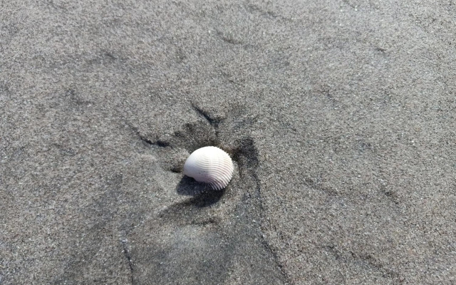 Desiran @ Timurbay - seafront studio apartment with WiFi