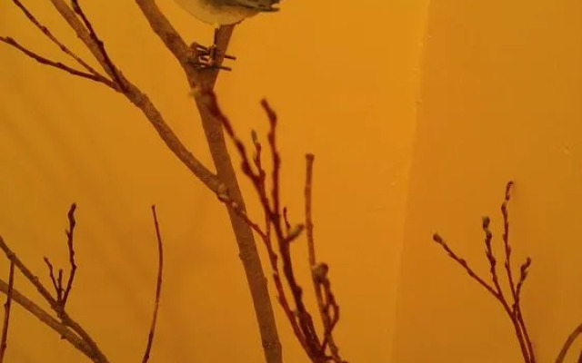 Windsbreath Celebrations and Retreats