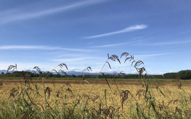 Residence Campagnole