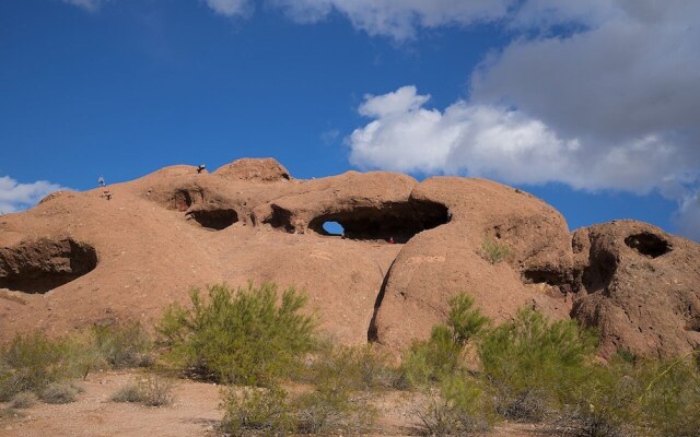 Park Suites at 207 - Free Golf