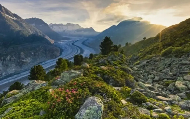 Vieux Valais Beevalais 2