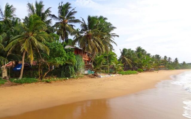 Reggae Zone Beach Resort
