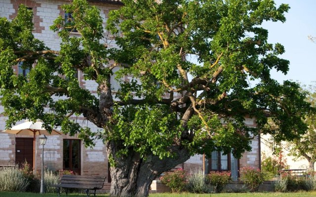 Country House Parco Ducale