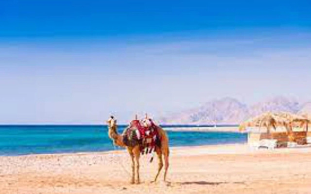 Beautiful 2bed Appt in Hurghada, Short & Long Term