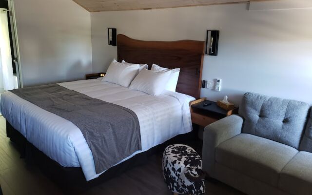 Adventure the Bruce Inn - Recently Renovated With Outdoor Hot Tub