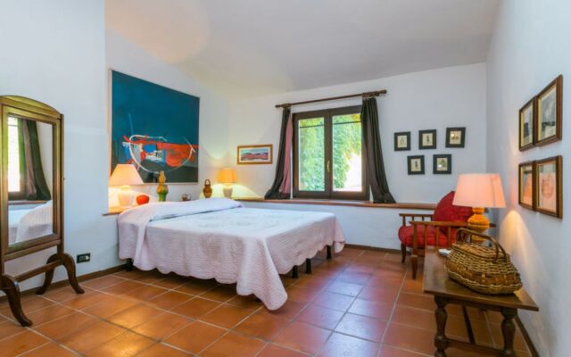 Bardeggiano - Caterina 6 (COL242)