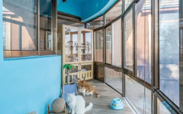 Changdao Chuanyu Seaview Homestay (Mingzhu Beach Branch)