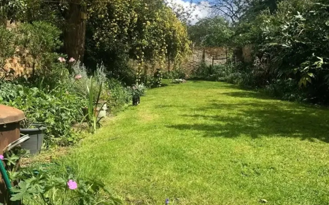 Cozy 1 Bedroom Flat in Camberwell