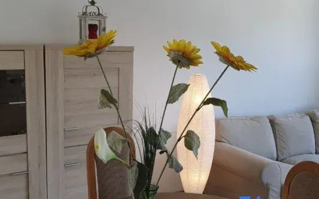 Superb Appartment in Antwerpen