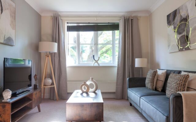 The Brixton Collection