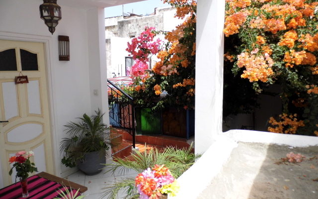 Riad Marlinea