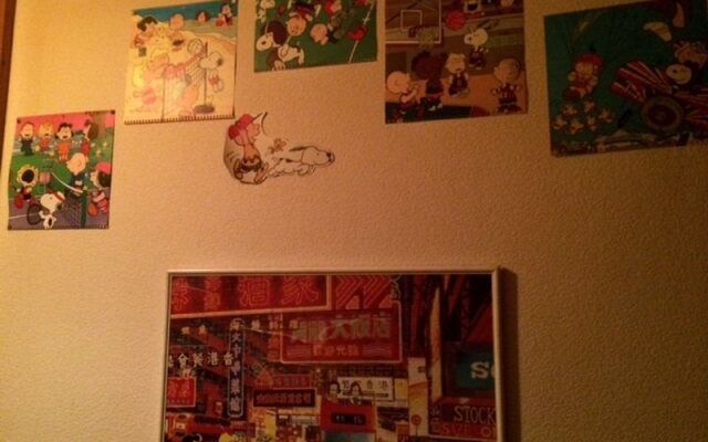 Lodge Charlie Brown