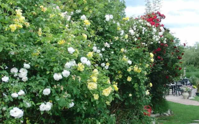 Sportpark Warmbad-Villach