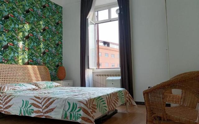 Colosseo Kokedama rooms