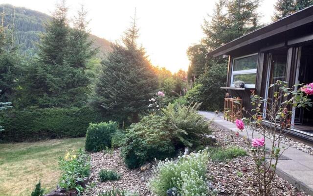 4* Ferienhaus Bergwild