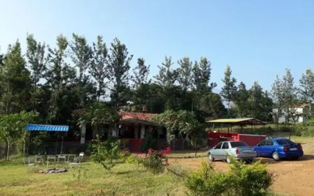 Wild Valley Nature Club
