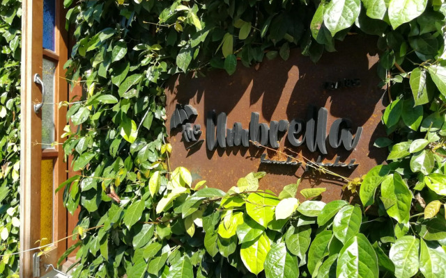 The Umbrella House