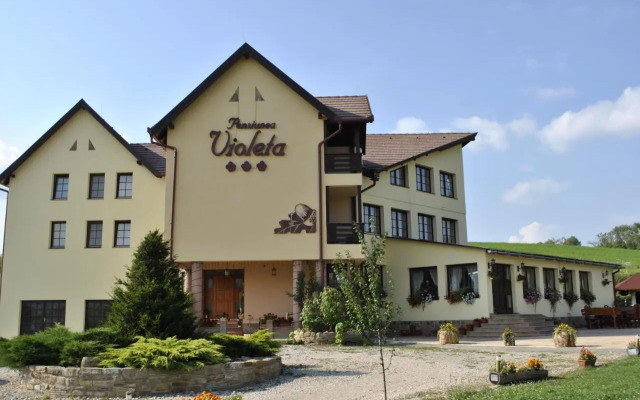 Pensiunea Violeta