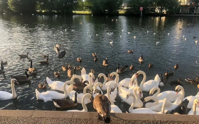 Riverside Boat Retreat on the River Thames