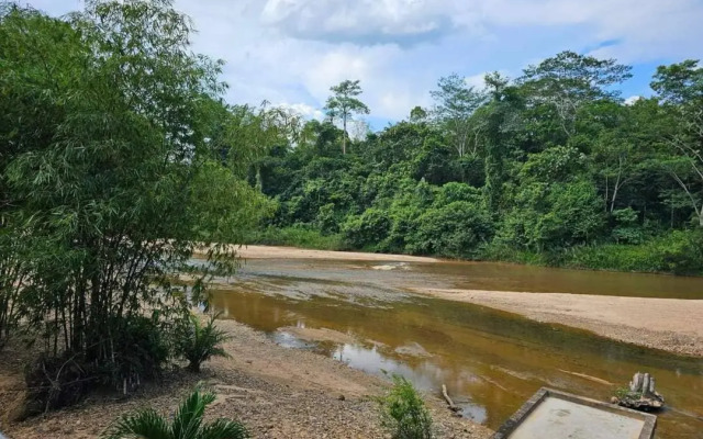 Riverside Palm Inn Sg Lembing