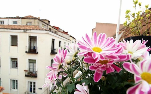 Charming Oasis in the Centre of Madrid