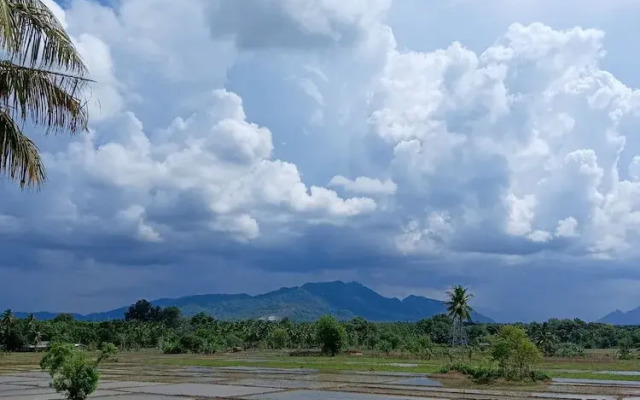 Sarali homestay