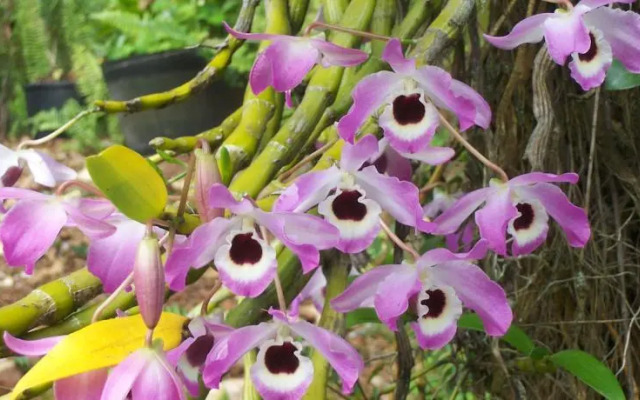 Secluded Rainforest Retreat